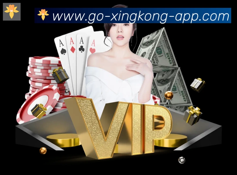 奖项证书